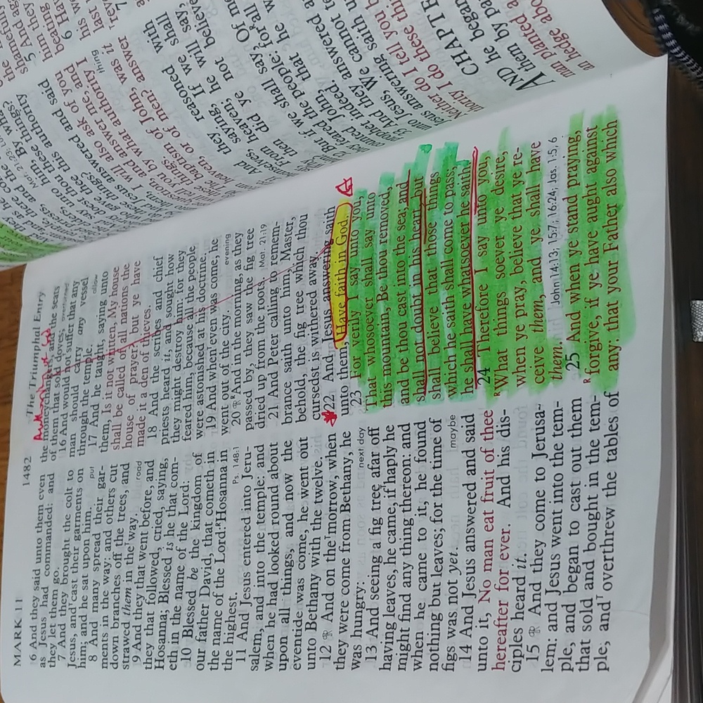 Thomas Nelson Holy Bible Giant Prints - Picture 12 of 12
